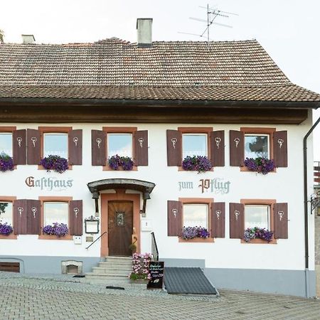 Hotel Landgasthof Zum Pflug Kleines Wiesental Luaran gambar