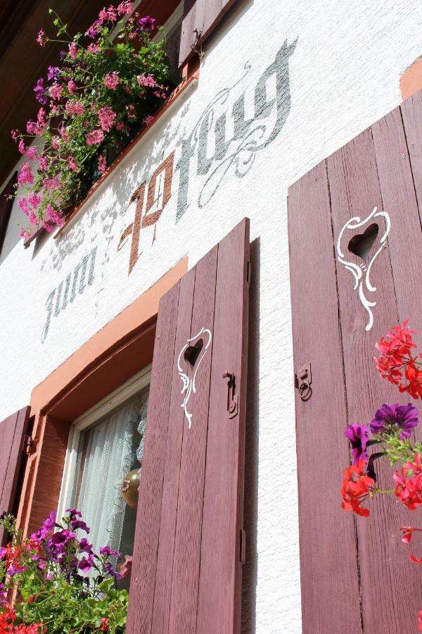 Hotel Landgasthof Zum Pflug Kleines Wiesental Luaran gambar