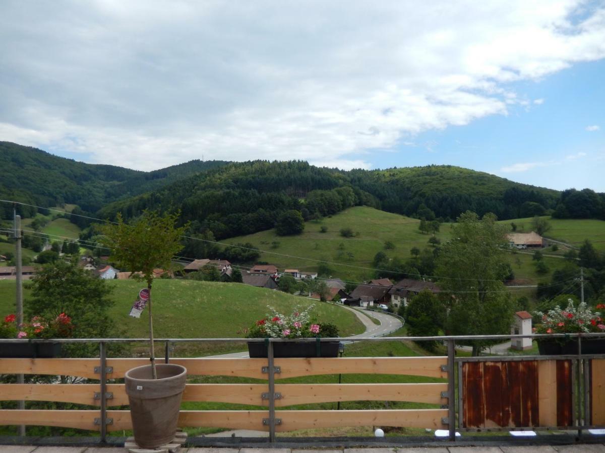 Hotel Landgasthof Zum Pflug Kleines Wiesental Luaran gambar